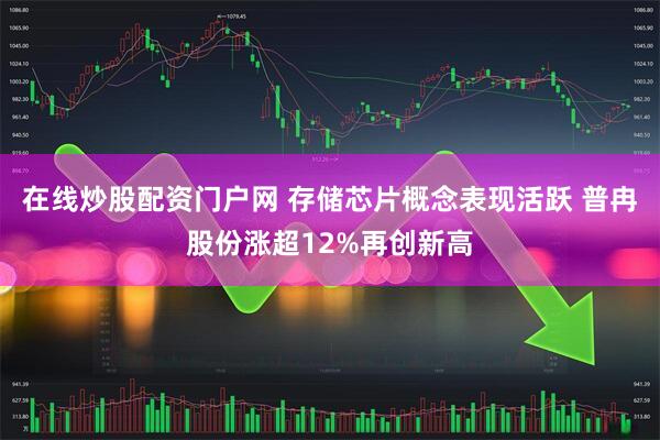 在线炒股配资门户网 存储芯片概念表现活跃 普冉股份涨超12%再创新高